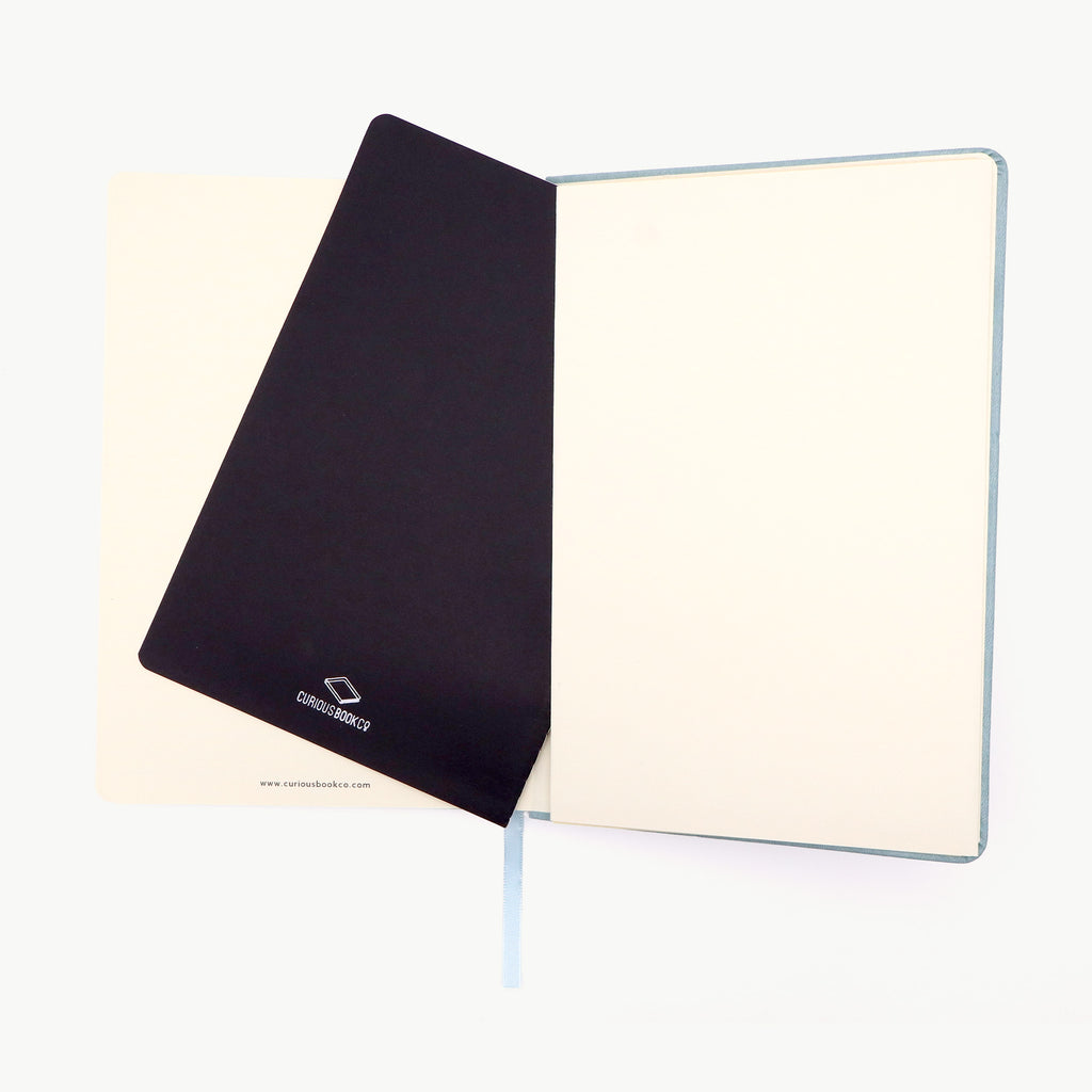 Pale Blue Notebook